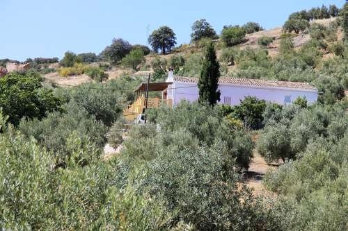 verhuur van vakantiehuisjes in andalusie, spanje - 4