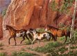 Cobble Hill - Horse Canyon - 1000 Stukjes Nieuw - 1 - Thumbnail