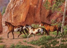 Cobble Hill - Horse Canyon - 1000 Stukjes Nieuw
