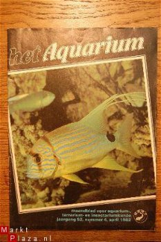 Het Aquarium Maandblad - 1
