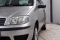 Fiat Punto - 1.2 ACTIVE - 1 - Thumbnail