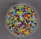 Rocailles 2mm Mix 17 Gram - 1 - Thumbnail