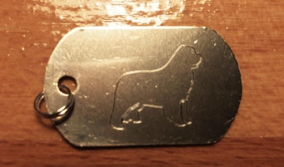 Name tag voor de hond met silhouet GRATIS graveren - 2