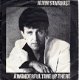Alvin Stardust : A Wonderful Time Up There (1981) - 1 - Thumbnail