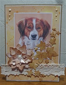 Hondenkaart 49: Kooikerhondje