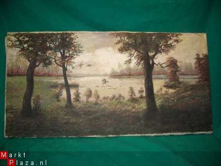 Schilderij olieverf op doek landschap 80x40. - 1