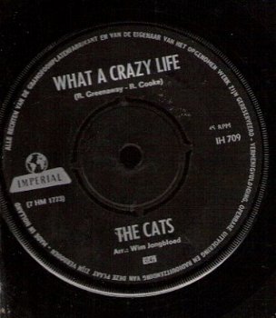 Cats - What A Crazy Life -Hopeless Try-Nederbeat SIXTIES - 1