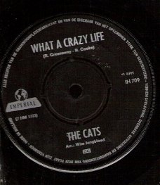 Cats - What A Crazy Life  -Hopeless Try-Nederbeat  SIXTIES