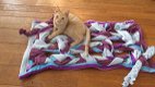 Prachtige handmade snuffelkleed, snuffelmat, snuffelkleden, hersenwerkspellen voor honden en katten - 1 - Thumbnail