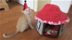 Superleuke gehaakte hutjes (van stof of wol) voor katten (of kleine hondjes) - 1 - Thumbnail