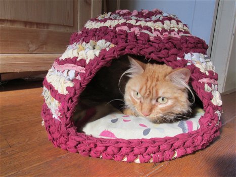 Superleuke gehaakte hutjes (van stof of wol) voor katten (of kleine hondjes) - 2
