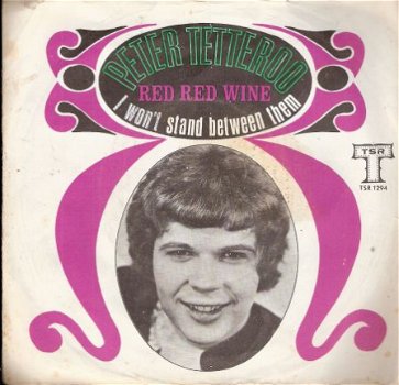 Peter Tetteroo - Red Red Wine - Nederbeat 1969 Fotohoes - 1