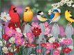 SunsOut - Song Birds and Cosmos - 500 Stukjes Nieuw - 1 - Thumbnail