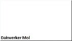 Dakwerker Mol - 1 - Thumbnail