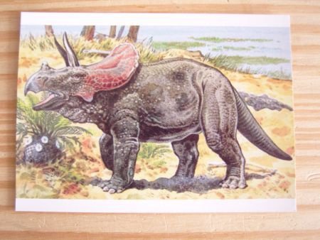 kaart thema dieren; Dinosaurus; Pentaceratops - 1