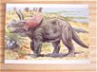 kaart thema dieren; Dinosaurus; Pentaceratops - 1 - Thumbnail