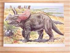 kaart thema dieren; Dinosaurus; Pentaceratops