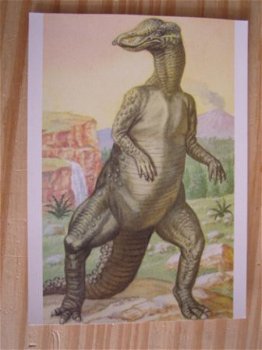 kaart thema dieren; Dinosaurus; Anatosaurus - 1