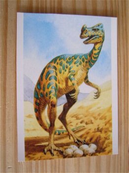 kaart thema dieren; Dinosaurus; Oviraptor - 1