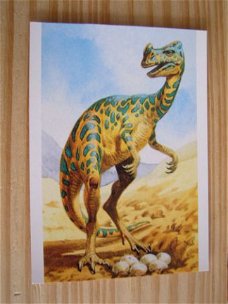 kaart thema dieren; Dinosaurus; Oviraptor
