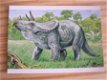 kaart thema dieren; Dinosaurus; Triceratops - 1 - Thumbnail
