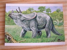 kaart thema dieren; Dinosaurus; Triceratops