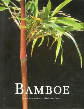 BAMBOE - 0