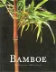 BAMBOE - 0 - Thumbnail