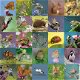 Otter House - Wondrous Wildlife - 1000 Stukjes Nieuw - 1 - Thumbnail