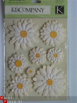 K&Company grand adhesions wild saffron daisies - 1