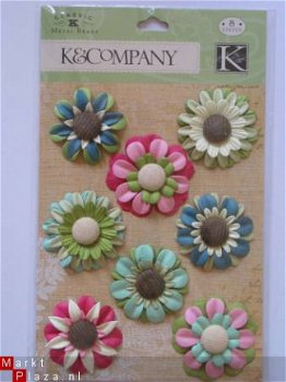 K&Company K Margo flower brads - 1