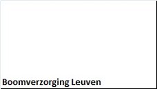 Boomverzorging Leuven