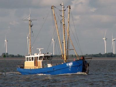 Kotter geschikt voor ombouw woonschip - 1