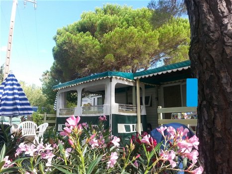 Mobilhomes KonTiki en Toison d'Or in St. Tropez - 6