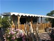 Saint Tropez mobilhomes stacaravan chalet te huur Kontiki Toison d'Or - 1 - Thumbnail