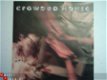 Crowded House: Fall at your feet - 1 - Thumbnail