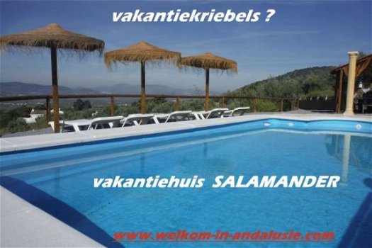 spanje, andalusie, villa met zwembad - 5