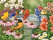 SunsOut - Garden Birdbath - 500 Stukjes Nieuw - 1 - Thumbnail