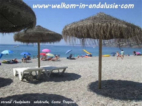 vakantiehuizen verhuur zuid spanje adalusie - 4