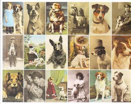 boek Postcard dogs by Libby Hall - 1