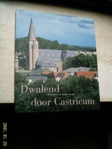 Dwalend door Castricum(Henk Glas, ISBN 9090154124).