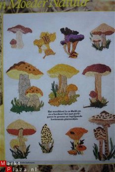 Borduurpatroon voor een paddenstoelen schilderij. - 1