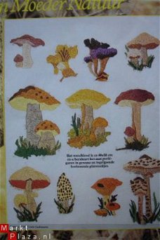 Borduurpatroon voor een paddenstoelen schilderij.