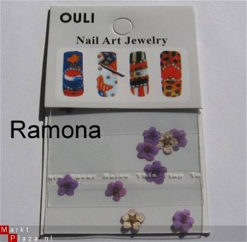 Purple Droog bloemen Paars dried flower gel acryl nail art - 1