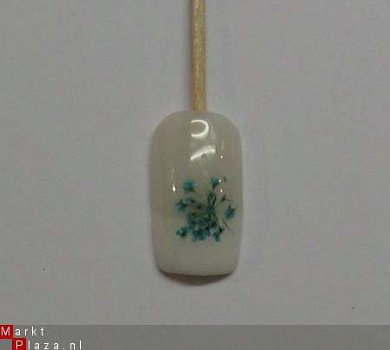 Purple Droog bloemen Paars dried flower gel acryl nail art - 1