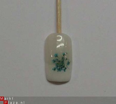 Blauw / Paars Droog bloemen dried flower gel acryl nail art - 1