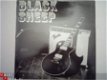 Black Sheep: Black Sheep - 1 - Thumbnail