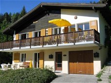 Fiesch t.h.:Comf., zonnig vrijstaand 4*Chalet 4/10 pers WiFi