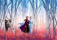 Frozen Fotobehang Disney VLIESbehang *Muurdeco4kids - 4 - Thumbnail