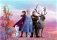 Frozen Fotobehang Disney VLIESbehang *Muurdeco4kids - 5 - Thumbnail